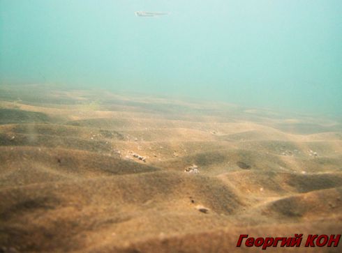 Konovalov Under water.jpg