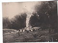 Fire of oil 1931.jpg